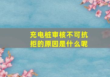 充电桩审核不可抗拒的原因是什么呢