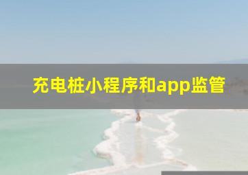 充电桩小程序和app监管