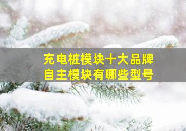 充电桩模块十大品牌自主模块有哪些型号