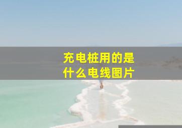 充电桩用的是什么电线图片