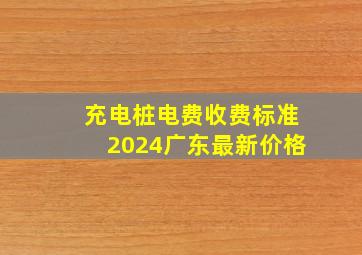 充电桩电费收费标准2024广东最新价格