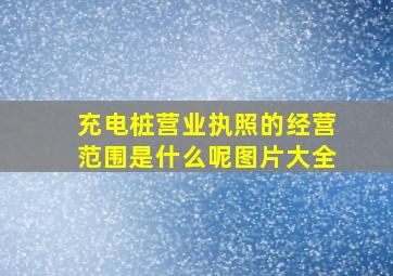 充电桩营业执照的经营范围是什么呢图片大全