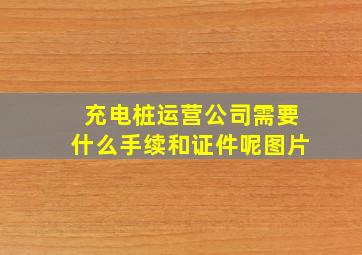 充电桩运营公司需要什么手续和证件呢图片