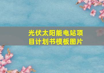 光伏太阳能电站项目计划书模板图片