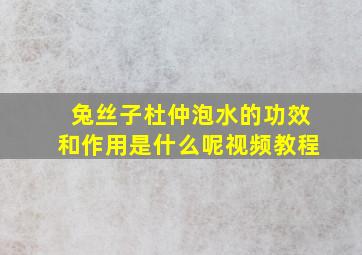 兔丝子杜仲泡水的功效和作用是什么呢视频教程