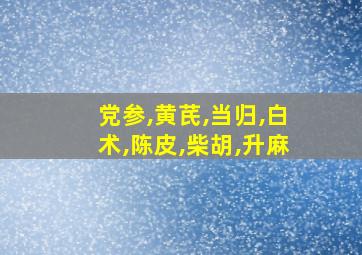 党参,黄芪,当归,白术,陈皮,柴胡,升麻