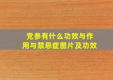 党参有什么功效与作用与禁忌症图片及功效