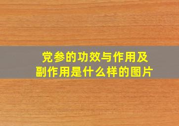 党参的功效与作用及副作用是什么样的图片