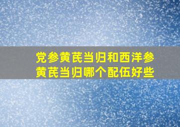 党参黄芪当归和西洋参黄芪当归哪个配伍好些