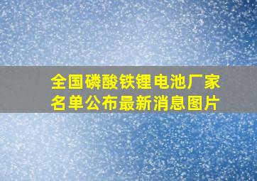 全国磷酸铁锂电池厂家名单公布最新消息图片