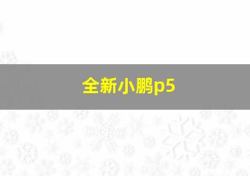 全新小鹏p5