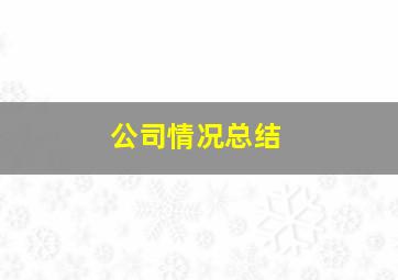 公司情况总结