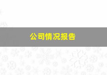 公司情况报告