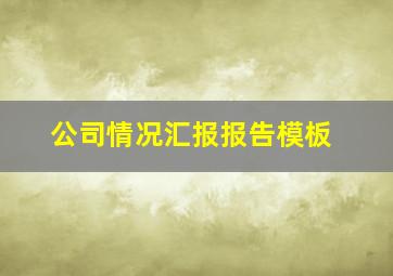 公司情况汇报报告模板