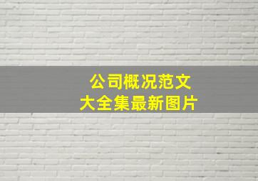 公司概况范文大全集最新图片