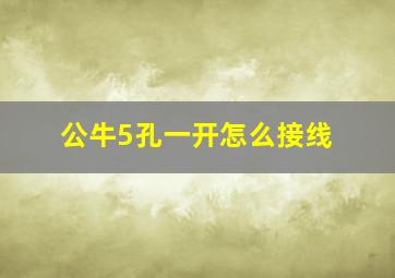 公牛5孔一开怎么接线