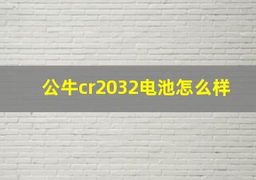 公牛cr2032电池怎么样