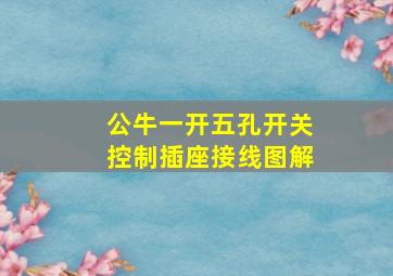 公牛一开五孔开关控制插座接线图解