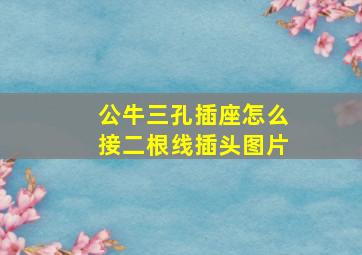 公牛三孔插座怎么接二根线插头图片