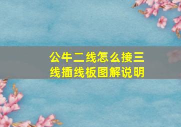 公牛二线怎么接三线插线板图解说明