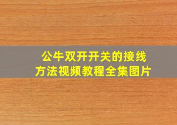 公牛双开开关的接线方法视频教程全集图片