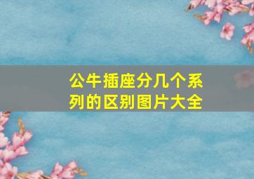 公牛插座分几个系列的区别图片大全