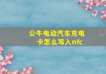 公牛电动汽车充电卡怎么写入nfc