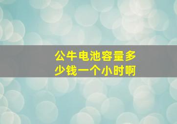 公牛电池容量多少钱一个小时啊