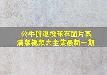 公牛的退役球衣图片高清版视频大全集最新一期