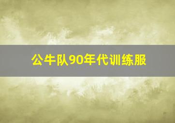 公牛队90年代训练服