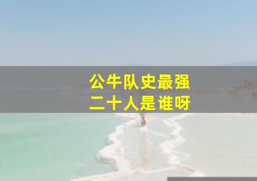 公牛队史最强二十人是谁呀