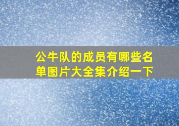 公牛队的成员有哪些名单图片大全集介绍一下