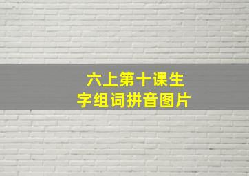 六上第十课生字组词拼音图片