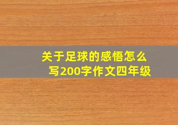 关于足球的感悟怎么写200字作文四年级