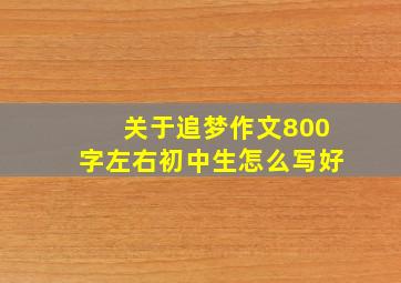 关于追梦作文800字左右初中生怎么写好