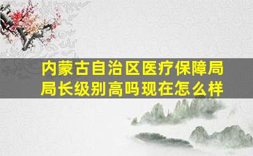 内蒙古自治区医疗保障局局长级别高吗现在怎么样