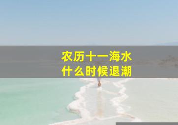 农历十一海水什么时候退潮