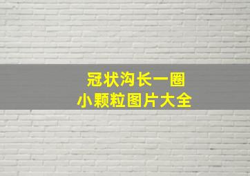 冠状沟长一圈小颗粒图片大全