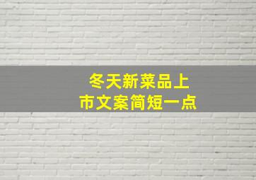 冬天新菜品上市文案简短一点