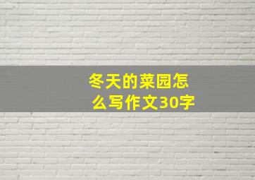 冬天的菜园怎么写作文30字