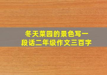 冬天菜园的景色写一段话二年级作文三百字