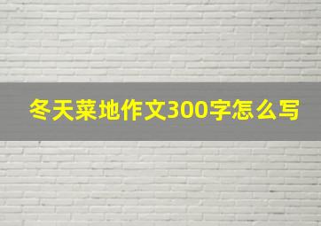 冬天菜地作文300字怎么写