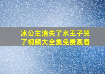 冰公主消失了水王子哭了视频大全集免费观看