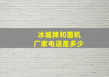 冰城牌和面机厂家电话是多少