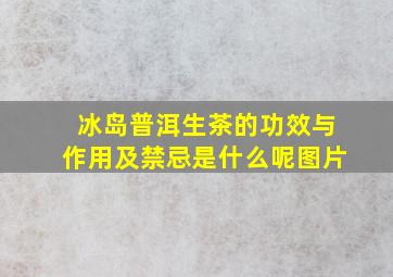 冰岛普洱生茶的功效与作用及禁忌是什么呢图片