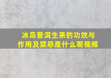 冰岛普洱生茶的功效与作用及禁忌是什么呢视频