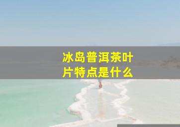 冰岛普洱茶叶片特点是什么