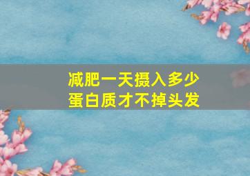 减肥一天摄入多少蛋白质才不掉头发