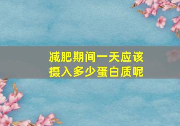 减肥期间一天应该摄入多少蛋白质呢