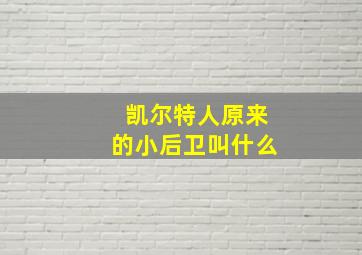 凯尔特人原来的小后卫叫什么